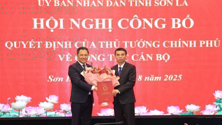 Sơn La: Giám đốc Sở Tài chính giữ chức Phó Chủ tịch UBND tỉnh