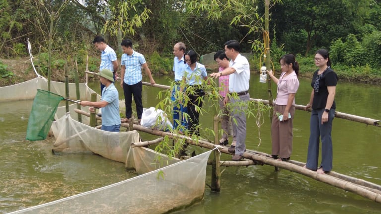'Nhân sâm nước' là con gì, nuôi thành công ở Phú Thọ, bán dễ hơn bán gà?