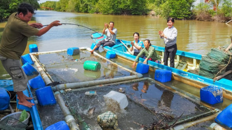 Loài cá biển ‘đắt như tôm tươi’ ở Cà Mau, nuôi thả lan ở vuông tôm mà thu nhập cao ngất ngưởng
