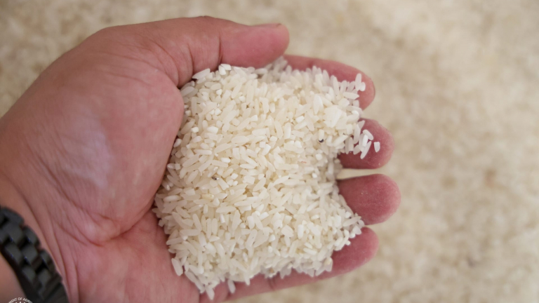 Nước mua gạo nhiều nhất thế giới lại có cảnh báo mới về lúa gạo, tàu chở gạo Việt Nam vẫn tập nập cập cảng Philippines