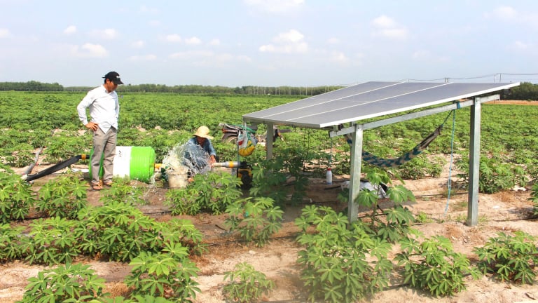 Trên những cánh đồng khoai mì Tây Ninh nắng như đổ lửa, phép màu xuất hiện nhờ điện mặt trời 