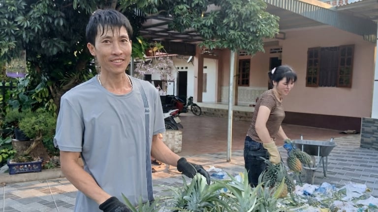 Cả làng ở Lạng Sơn trồng cây gì ra loại quả gai góc, hễ bán lắm thì giàu nhiều
