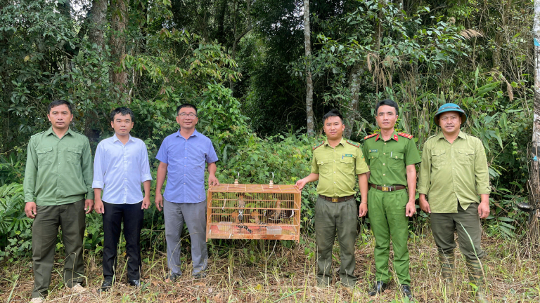 Cứu sống 4 con chim đầu rìu non rơi khỏi tổ, một người Đắk Nông, nay là tỉnh Lâm Đồng nhận lại “món quà” đặc biệt