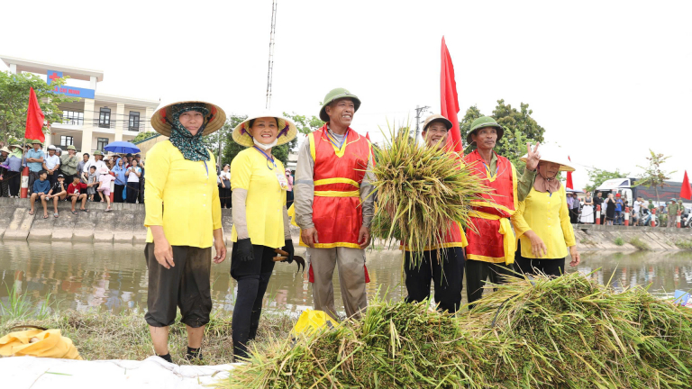 Ngày hội lúa rươi hữu cơ ở Hải Phòng: Nông dân biến ruộng ven sông thành “bờ xôi ruộng mật”