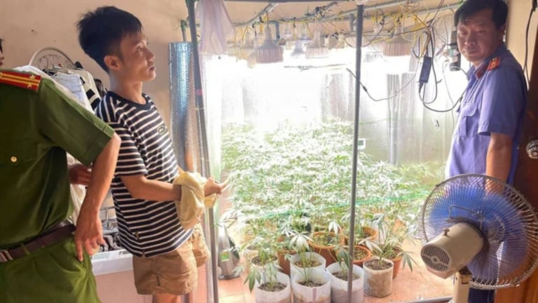 TIN NÓNG 24 GIỜ QUA: Điều tra vụ thi thể thiếu niên phân hủy trong bệnh viện; 'vườn' cần sa trồng tinh vi tại phòng ngủ