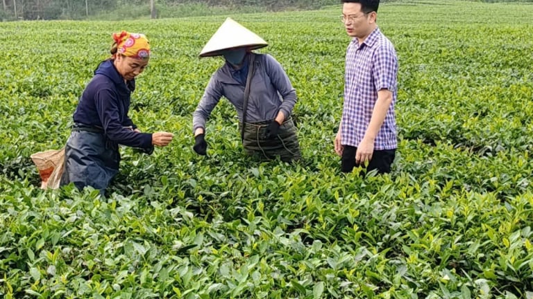 Một xã mới sau hợp nhất, sáp nhập thuộc khu vực miền núi tỉnh Hà Tĩnh đạt số thu ngân sách kỷ lục 6 tháng đầu năm 2026