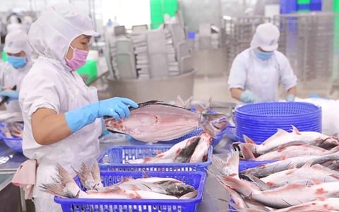 Phụ thuộc vào xuất khẩu thủy sản sang Mỹ, loạt 'ông lớn' Vĩnh Hoàn, Sao Ta, Minh Phú, Hùng Vương...phản ứng ra sao trước đòn thuế 46%?