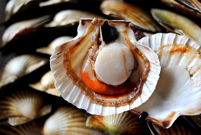 Xuất khẩu nhuyễn thể có vỏ của Việt Nam tiếp đà tăng trong 2 tháng đầu năm
