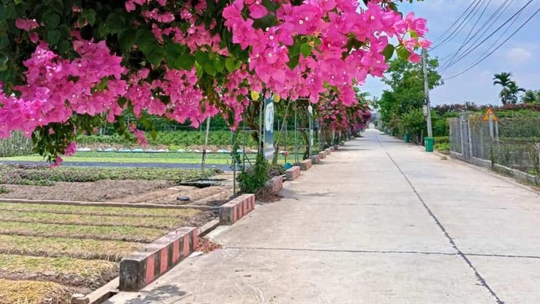 Một xã nông thôn mới kiểu mẫu ở Hà Nội sạch bóng rác, có đường hoa đẹp như tranh, người dân làm du lịch thu 10 tỷ đồng/năm