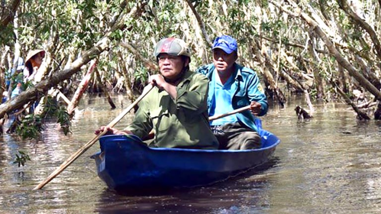 Chuyện rắn hổ mang to đùng ở khu rừng dài từ Kiên Giang đến Cà Mau, nghe lời kể ly kỳ, chưa có tấm hình nào