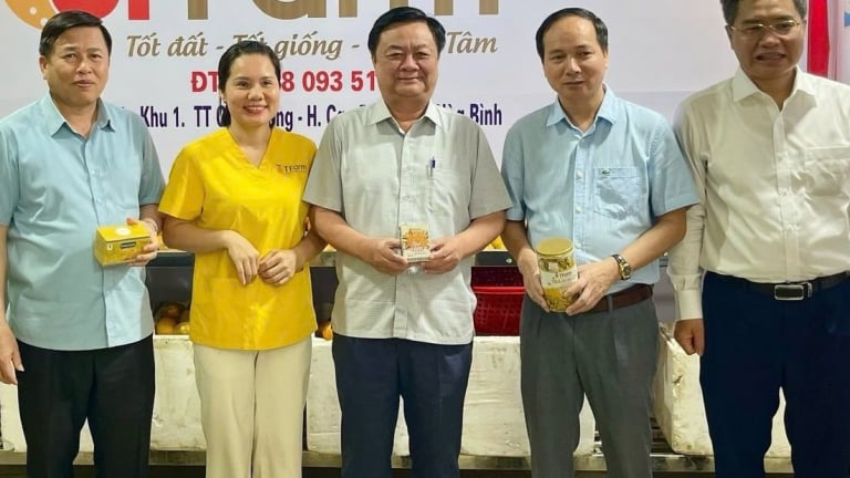 Trước khi sáp nhập về Phú Thọ, nông nghiệp Hòa Bình bứt phá ngoạn mục, tăng trưởng kỷ lục