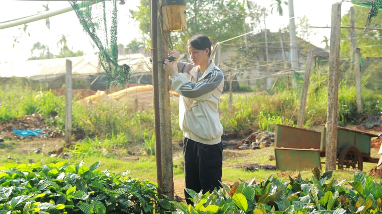 Học sinh Đắk Lắk đưa trí tuệ nhân vào vườn cà phê, chế tạo máy tách vỏ sầu riêng