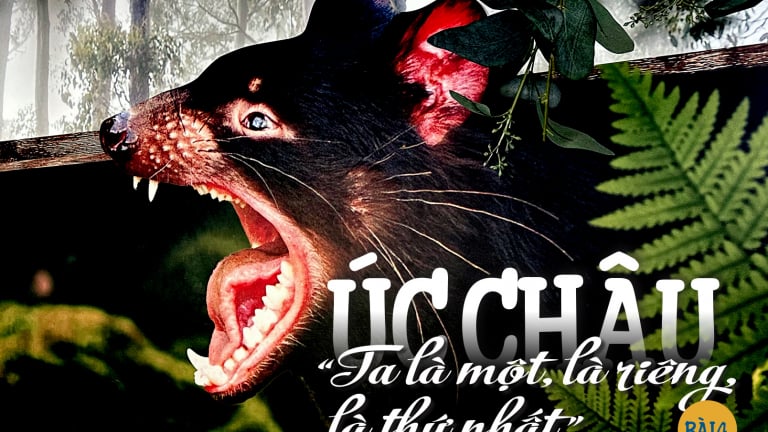 Úc châu, “Ta là một, là riêng, là thứ nhất”: Quỷ Tasmania, tiếng gầm sâu rộng trong đêm (Bài 4)