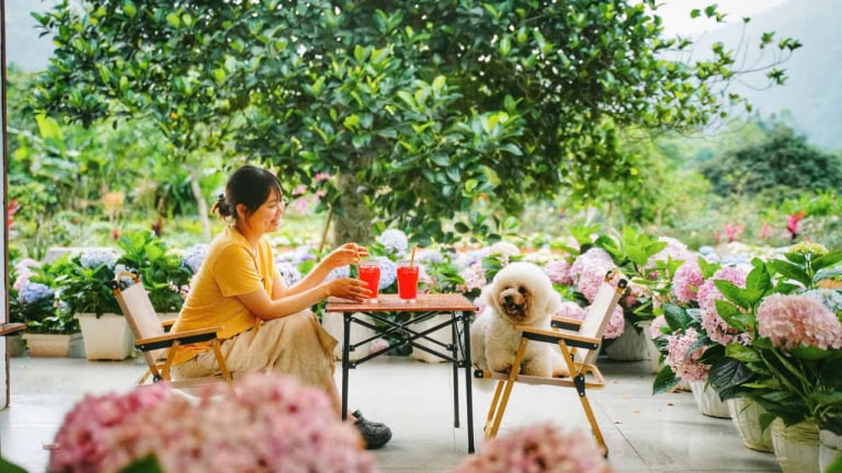 An Lành Farm - Điểm du lịch trải nghiệm 'hút' khách ở Yên Bái 