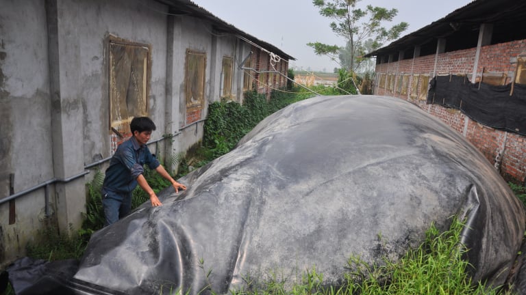 Trước khi sáp nhập với Hòa Bình, Phú Thọ, Vĩnh Phúc có chỉ đạo 'nóng' xử lý các cơ sở chăn nuôi gây ô nhiễm môi trường