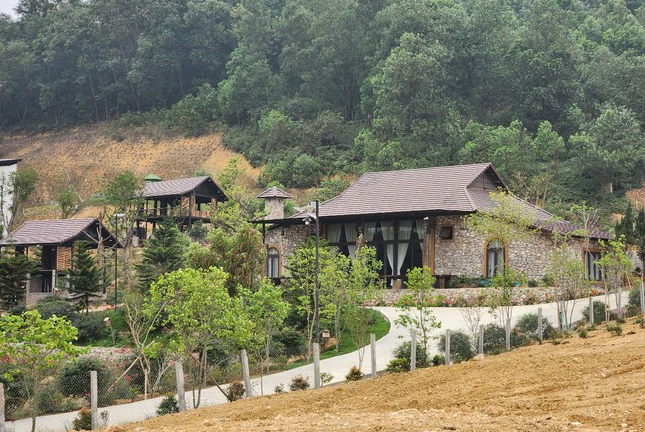 Chủ tịch Hà Nội chỉ đạo kiểm tra, xử lý việc lấn chiếm đất rừng tại huyện Thạch Thất