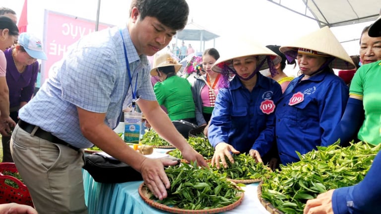 Sắp diễn ra Lễ hội Trà huyện Tân Uyên (Lai Châu) lần thứ II: Kỳ vọng 'thay da đổi thịt' cho chè vùng cao