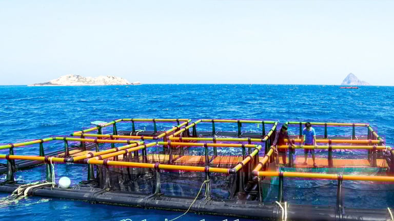 Trước khi sáp nhập Ninh Thuận, ở Khánh Hòa có một nông dân đầu tiên của Việt Nam nuôi cá ngoài biển xa nhất, cách đất liền 6 hải lý