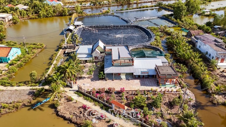 Tỷ phú Cà Mau, đây là cơ ngơi đáng tiền của một nông dân nuôi tôm, nuôi cua đặc sản kiểu mới lạ