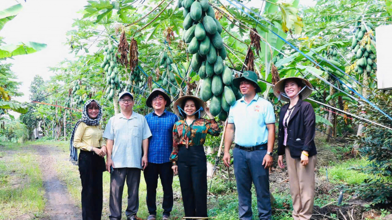 Hội Nông dân một xã ở Đồng Nai tham gia hiệu quả vào phát triển nông nghiệp trù phú, xã nông thôn mới nâng cao