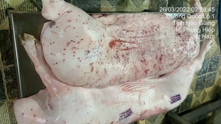 Người 'tố' Công ty C.P chế biến lợn, gà bệnh để bán ra thị trường nói, đang tiếp tục gửi đơn đến các cơ quan chức năng