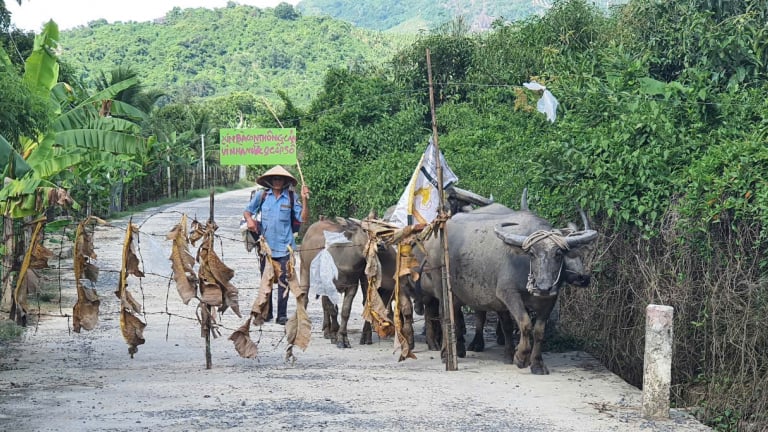 Huyện Cam Lâm (Khánh Hòa): Bị chậm cấp sổ đỏ, người dân rào chắn lối đi chung