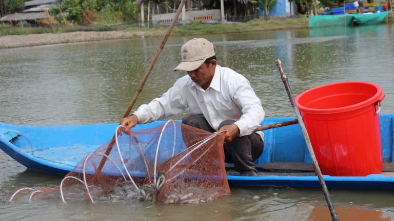 Đọc và làm theo Dân Việt, nhà nông khấm khá
