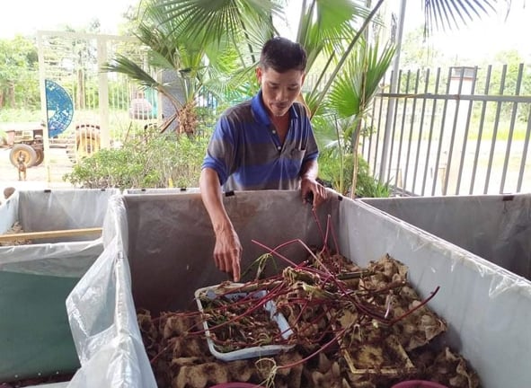 Nuôi thành công 2 con động vật, con này kêu to giật mình, con kia kêu ri ri, một người Đắk Lắk có thu nhập tốt