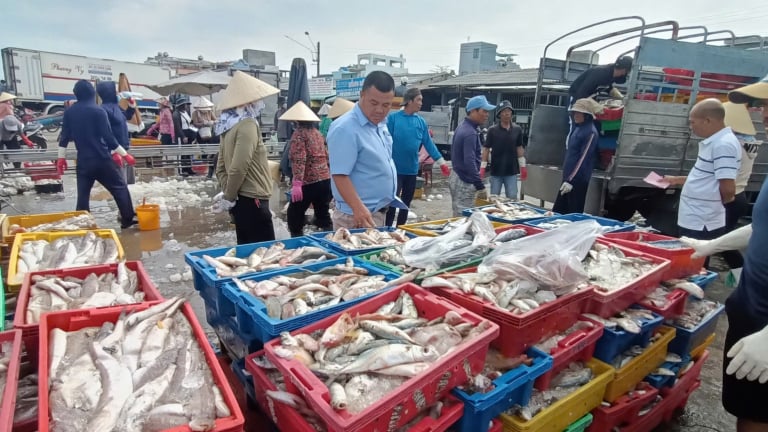 Trước ngày sáp nhập TP HCM, Bình Dương, ngành chức năng Bà Rịa-Vũng Tàu đang hỗ trợ doanh nghiệp xuất khẩu hải sản một việc quan trọng