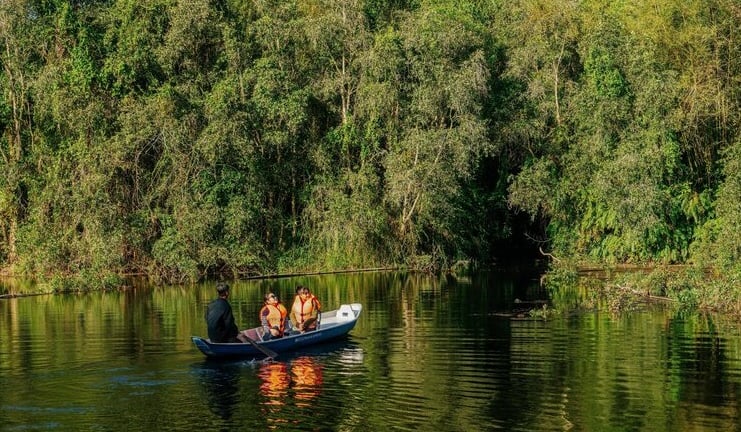 Vùng Đồng Tháp Mười phía Tiền Giang có một khu rừng ngập nước, chim hoang dã bay la liệt