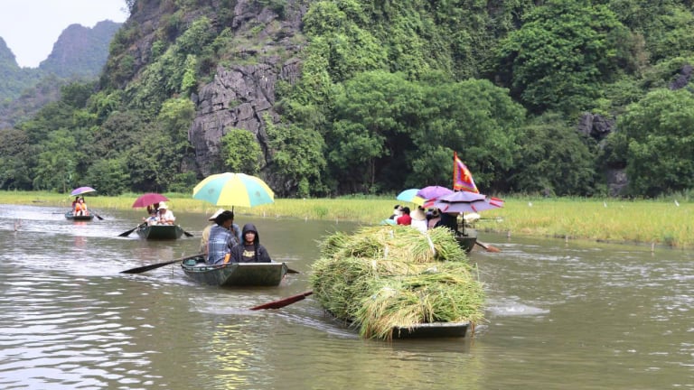 Cánh đồng lúa đẹp bậc nhất Việt Nam ở Ninh Bình đang vào mùa gặt, dân tình đứng trên núi tha hồ chụp ảnh, quay phim