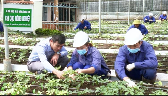 Lạ đời Chi cục Nông nghiệp Kon Tum lập Đoàn kiểm tra quy trình ký, cấp chứng nhận của chính mình (?)