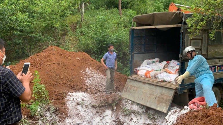 Sơn La: Ứng phó dịch tả lợn Châu Phi, đảm bảo an toàn chăn nuôi 