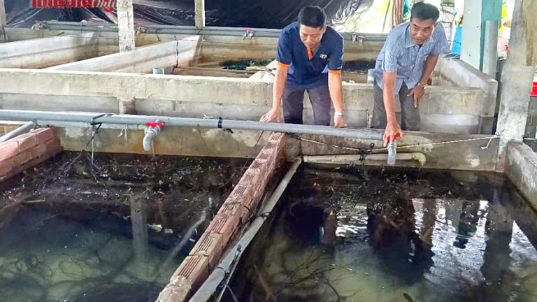 Trước ngày về thành phố mới Cần Thơ, Hậu Giang công bố một chỉ số quan trọng
