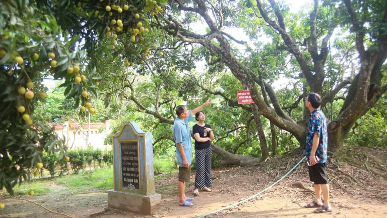 Cận kề ngày sáp nhập Hải Phòng, người Hải Dương nâng niu, trân trọng, gìn giữ hồn đất, tình quê