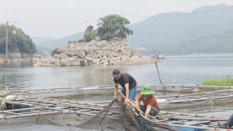 Giờ sáp nhập cận kề tỉnh Vĩnh Phúc, Phú Thọ, ở Hòa Bình “mặt nước chuyên dùng” ở Cao Phong, vùng lặng sóng hay điểm nóng quản lý?