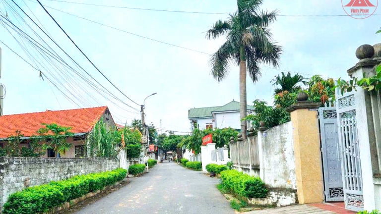 Giờ phút sáp nhập tỉnh Phú Thọ, Hòa Bình đang đến, Vĩnh Phúc có xã nông thôn mới kiểu mẫu đã trù phú còn đẹp như phim