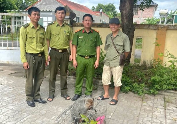 Dân tự nguyện giao nộp một con khỉ mặt đỏ-động vật hoang dã quý hiếm cho cơ quan chức năng tỉnh Quảng Trị mới