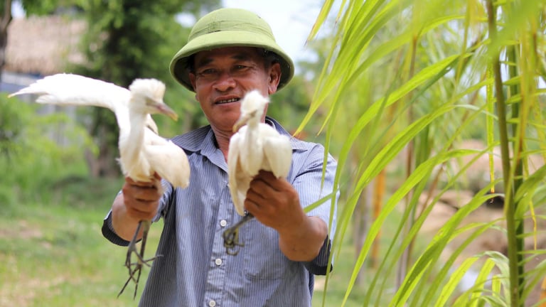 Chuyện lạ ở Hà Tĩnh: 'Dị nhân' từ Cà Mau và tuyệt chiêu 'dẫn dụ' chim trời về với Thành Sen
