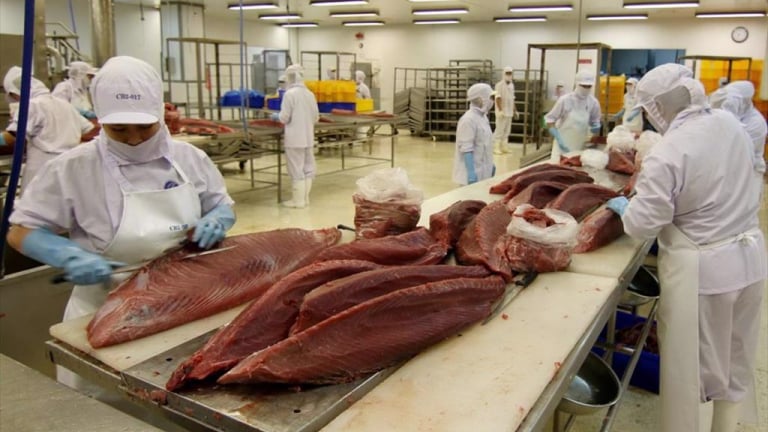 Xu hướng thị trường cá ngừ 2025: Lợi thế cho quốc gia biết thích ứng và nâng chuẩn