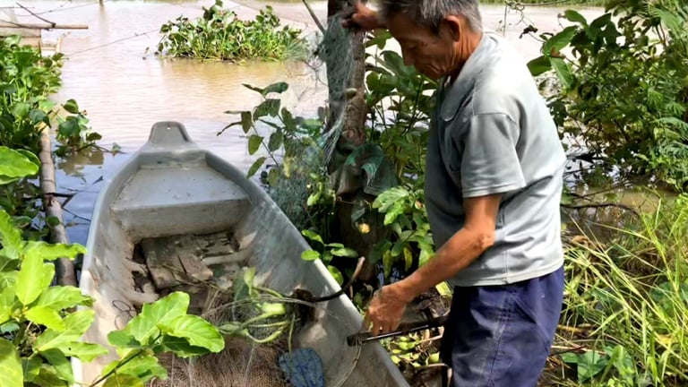 Nước phù sa đã về đầu nguồn sông Tiền của tỉnh An Giang mới, dân bắt được cá to rồi
