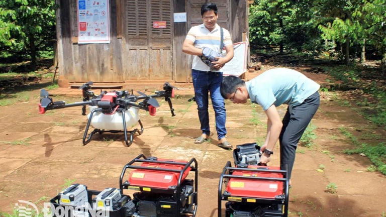 Đang  khan hiếm, khó kiếm lao động làm nông nghiệp, tỉnh Đồng Nai mới 'hóa giải' bằng cách gì, sau sáp nhập Bình Phước?