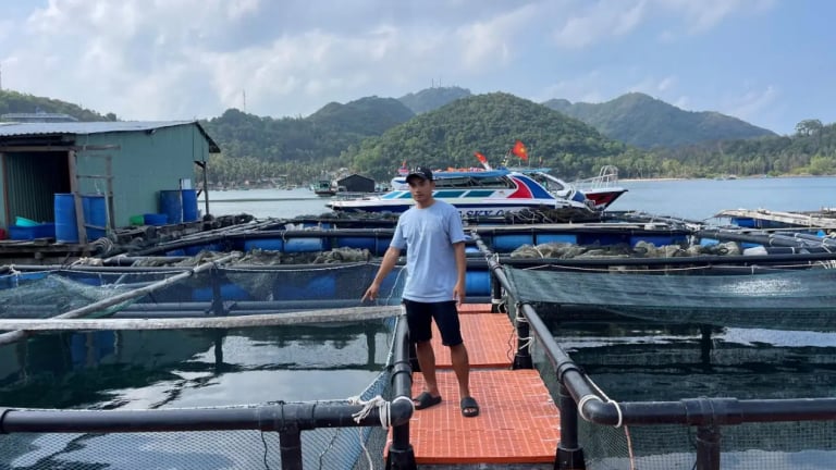 Nơi này ở tỉnh An Giang, dân nuôi thứ cá biển gì to bự, anh tỷ phú bắt lên ai cũng muốn xem?