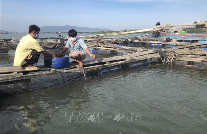 Một xã đảo nổi tiếng ở TPHCM sau sáp nhập Bà Rịa-Vũng Tàu có 'Tuyến đường thanh toán không dùng tiền mặt'