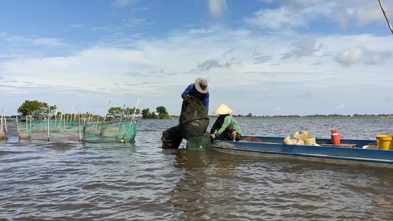 Đang chờ con cá đặc sản mùa nước nổi An Giang, hễ nói tên 10 người nhớ cả 10