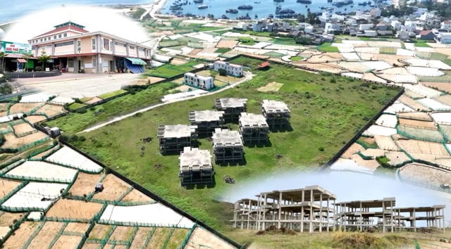 31 dự án sẽ được thanh tra để gỡ vướng ở Quảng Ngãi có quy mô và mức đầu tư thế nào?