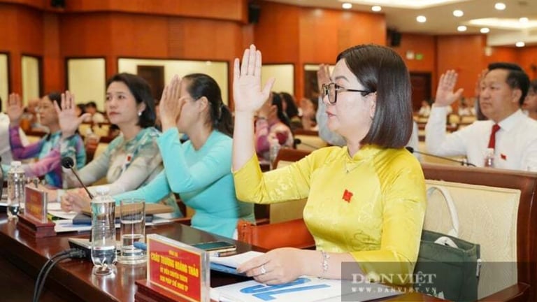 TP.HCM: “Không để cơ quan nhà nước thành nơi trú ngụ an toàn cho người yếu kém”