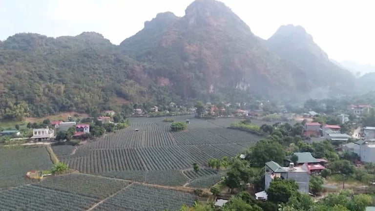 Nông thôn Tây Bắc: Bản làng giàu đẹp, đổi thay từ sức dân