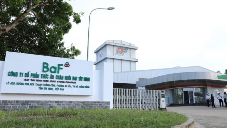 BAF lãi đậm, lợi nhuận chăn nuôi cao kỷ lục tăng tới 445%