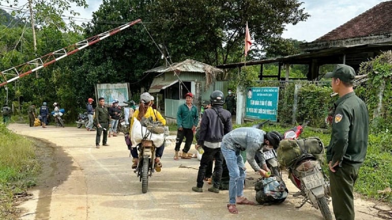 Thứ cây rừng kỳ lạ ở Đà Nẵng (mới), quả mang hạt ngon bay khắp nơi, dân đi nhặt bán 700.000 đồng/kg
